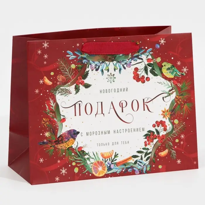 Пакет подарочный новогодний ламинированный «С морозным настроением», MS 18 х 23 х 10 см