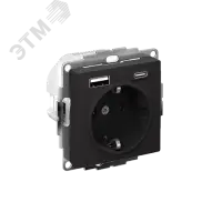 РОЗЕТКА 16А c 2 USB A+С, мех, КАРБОН