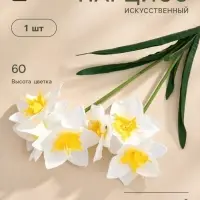 Цветы искусственные &laquo;Нарцисс&raquo;, h=60 см, белые