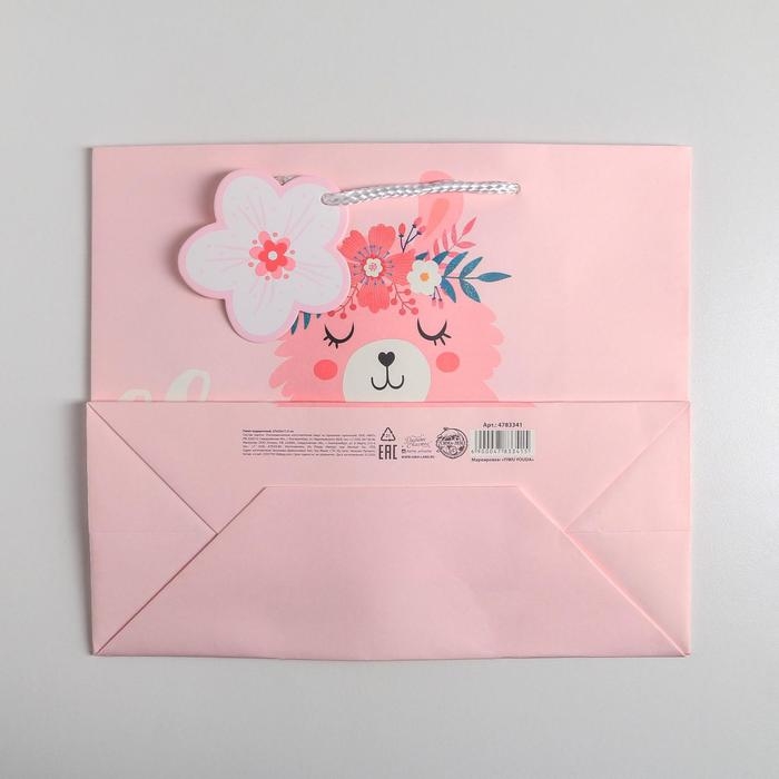 Пакет подарочный, упаковка, &laquo;Lama&raquo;, 27 х 23 х 11,5 см