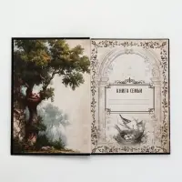 Родословная книга &laquo;История нашей семьи&raquo;, 56 листов, 112 страниц, 16.5&times;24 см