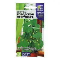 Семена огурца "Городской Огурчик", F1, 5 шт. Семена огурца "Городской Огурчик", F1, 5 шт.