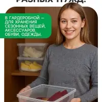 Ящик пластиковый для хранения, с крышкой, объём &mdash; 10 л, прозрачно-матовый