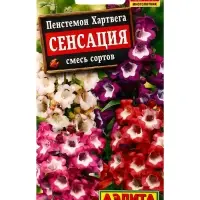 Семена цветов Пенстемон Сенсация, смесь сортов , Ц/П,0,1 г