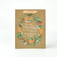 Пакеты подарочные &laquo;Новогодние чудеса&raquo;, набор 5 шт. 18&times;23&times;10 см и 1 шт. 26&times;30&times;9 см