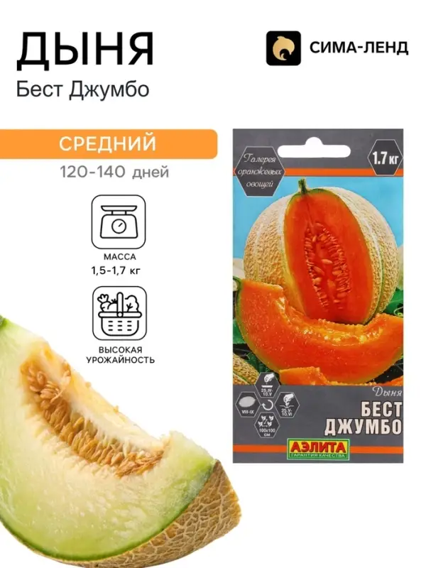 Семена Дыня &laquo;Бест Джумбо&raquo;, 1 г, &laquo;Аэлита&raquo;