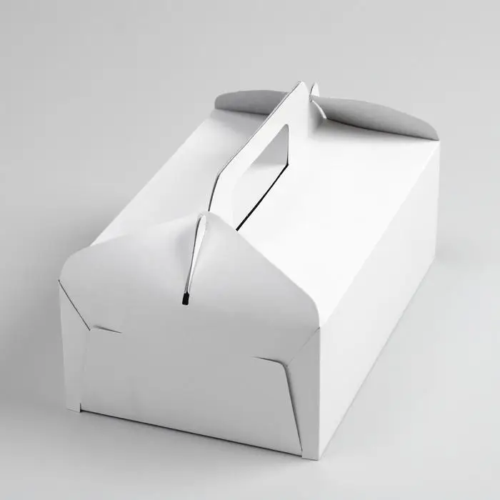 Коробка на вынос, белая, 25 х 16 х 9 см