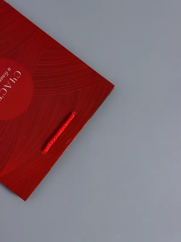 Пакет подарочный "С уважением!" ламинированный 18 х 22,3 х 10 см