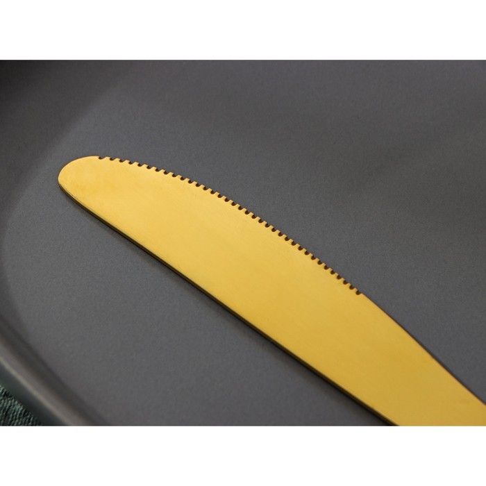 Ножи столовые из нержавеющей стали Доляна «Голд», длина 22 см, 6 шт, цвет золотой Ножи столовые из нержавеющей стали Доляна «Голд», длина 22 см, 6 шт, цвет золотой