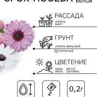 Семена цветов Остеоспермума &laquo;Небо и лед&raquo; смесь, 0.2 г