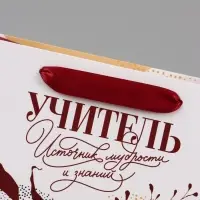 Подарочный набор &laquo;Учитель&raquo;, пакет и открытка, ML 27 &times; 23 &times; 11,5 см