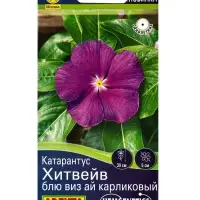 Семена цветов Катарантус Хитвейв блю виз ай карликовый Спецсерия Hem Genetics, Ц/П,5 шт. Семена цветов Катарантус Хитвейв блю виз ай карликовый Спецсерия Hem Genetics, Ц/П,5 шт.