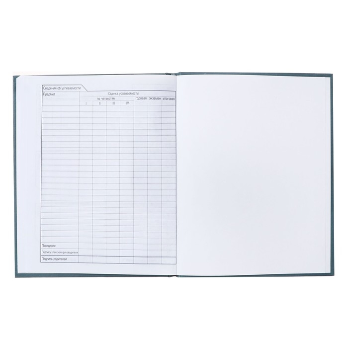 Дневник твердая обложка 1-11 класс, Girl power, металлик, выборочный лак, 40 листов