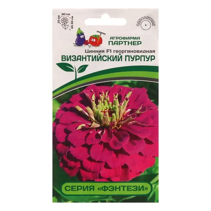 Семена цветов цинния георгиновидная Семена цветов цинния георгиновидная "Фэнтези" F1 византийский пурпур, 4 шт.