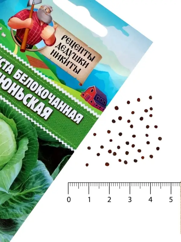 Семена Капуста белокочанная &laquo;Июньская&raquo;, 0.5 г, скороспелая, &laquo;Рецепты дедушки Никиты&raquo;