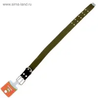 Ошейник брезентовый однослойный, 84&times;4.5 см, ОШ 50-70 см, хаки