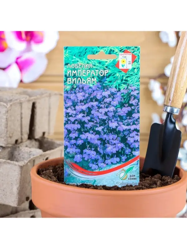 Набор семян Лобелия Набор семян Лобелия "Император Вильям", 5 шт.
