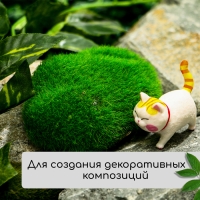 Мох искусственный, для декора, «Камни», набор 12 шт., зелёный, Greengo