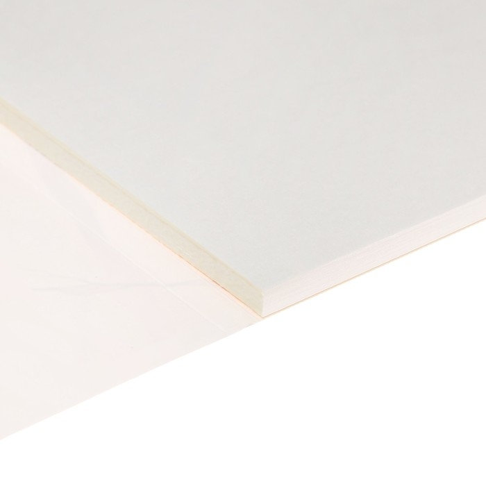 Альбом для рисования А4, 40 листов на склейке Альбом для рисования А4, 40 листов на склейке "Девушка в лесу", обложка мелованный картон, блок 100г/м2