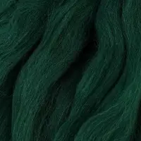 Шерсть для валяния 100% полутонкая шерсть 50 гр (110, зеленый)