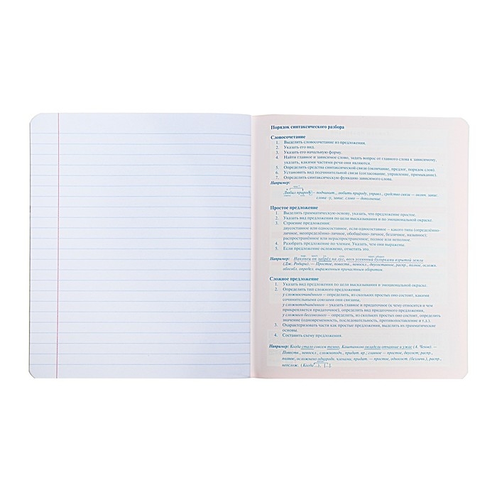 Тетрадь предметная "Яркая цветная", 48 листов в линию "Русский язык", обложка мелованный картон, выборочный лак, со справочным материалом