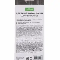 Карандаши 12цв, "ЭКО",Робо, Hatber, заточен,  коробка, европодвес 84395