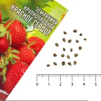 Семена Земляника крупноплодная &laquo;Красное Сердце&raquo;, 20 шт., &laquo;Григорьев&raquo;