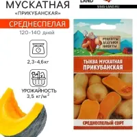 Семена Тыква мускатная "Прикубанская", 2 г