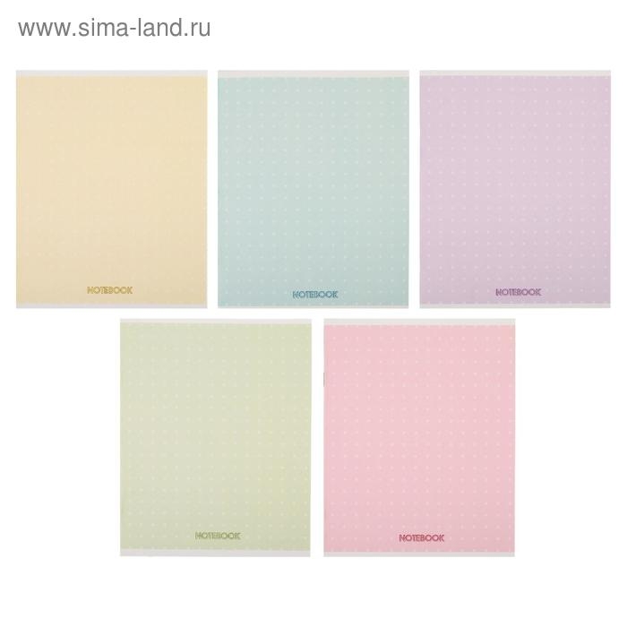 Тетрадь 48 листов в клетку Calligrata "В точку", обложка мелованный картон, блок офсет, МИКС