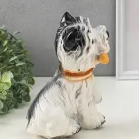 Копилка для денег &laquo;Ризен малый с костью&raquo;, гипс, 22&times;16&times;11 см