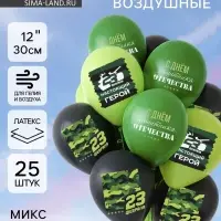 Воздушные шары латексные 12" &laquo;С 23 февраля. Защитник отечества&raquo;, 25 шт., МИКС