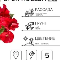 Семена цветов Петуния &laquo;Двойной каскад&raquo;, F1, валентина, 5 шт., PanAmerican, &laquo;АЭЛИТА&raquo;