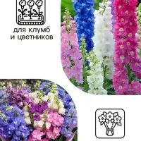 Семена цветов Дельфиниум «Королевская смесь», 0.1 г, «Агросидстрейд»