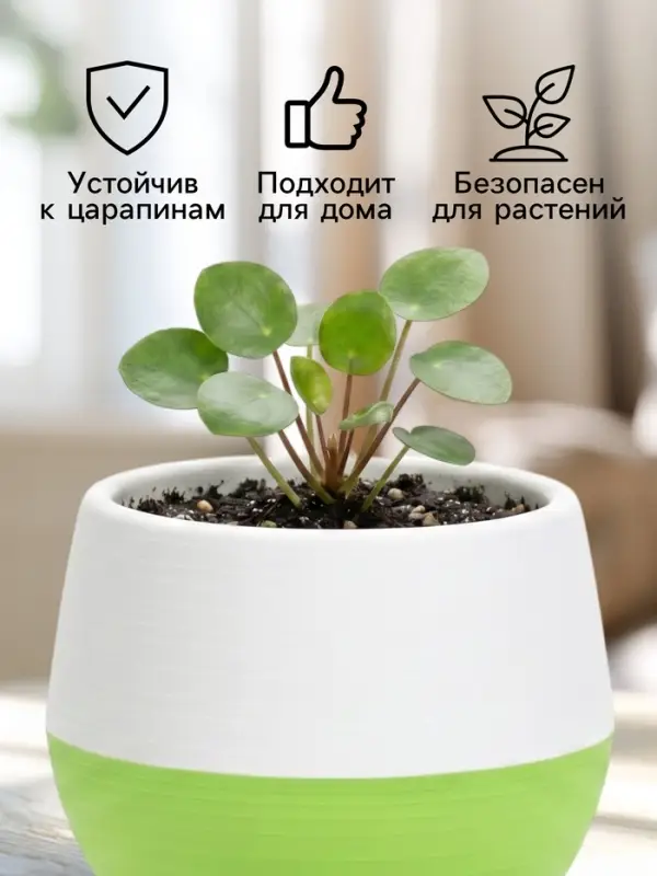 Горшок цветочный &laquo;Япония&raquo;, 125 мл, d=8 см, h=6.5 см, пластиковый, с поддоном, бело-фисташковый