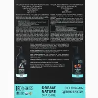 Подарочный набор мужской DREAM NATURE SPA CARE "Сила льда": шампунь 2 в 1 и гель для душа, по 500 мл