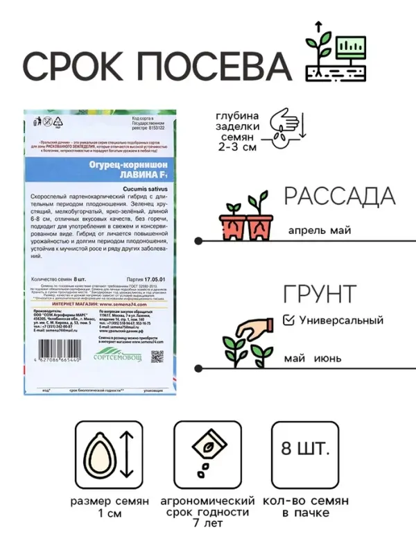 Семена огурца  Семена огурца "Зеленая лавина", F1, 8 шт.