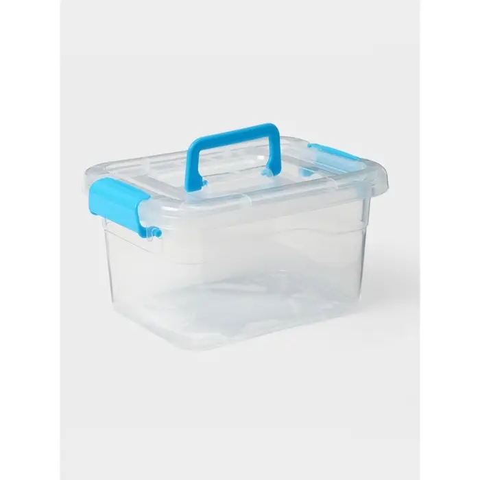 Контейнер для хранения Доляна, 20&times;15&times;10.5 см, крышка с ручкой на защёлке, МИКС