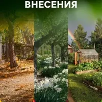 Органическое удобрение Конский навоз, экстракт, канистра, Ивановское, 3 л