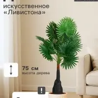 Дерево искусственное &laquo;Ливистона&raquo;, h=75 см