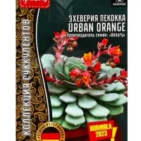 Семена цветов Эхеверия пекокка Urban Orange, 5 драже &laquo;Григорьев&raquo;