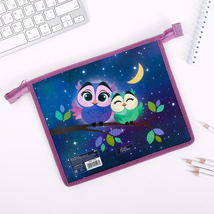 Папка для тетрадей А5, 230 х 190 х 50 мм, молния сверху, пластиковая, Calligrata Папка для тетрадей А5, 230 х 190 х 50 мм, молния сверху, пластиковая, Calligrata "Совы"
