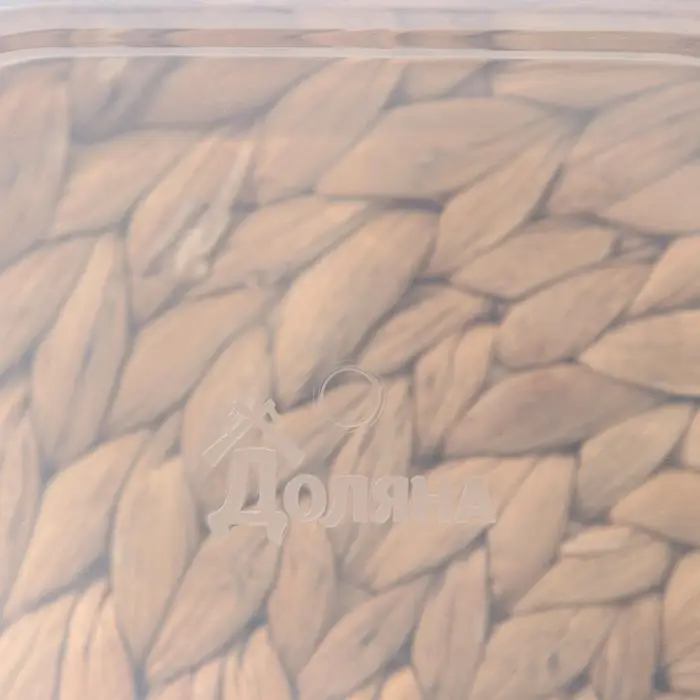 Набор контейнеров пищевых прямоугольных Доляна, 3 шт: 150 мл, 500 мл, 1,2 л, цвет синий Набор контейнеров пищевых прямоугольных Доляна, 3 шт: 150 мл, 500 мл, 1,2 л, цвет синий