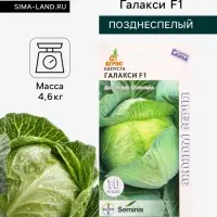 Семена Капуста &laquo;Галакси&raquo;, F1, 10 шт., &laquo;Агросс&raquo;