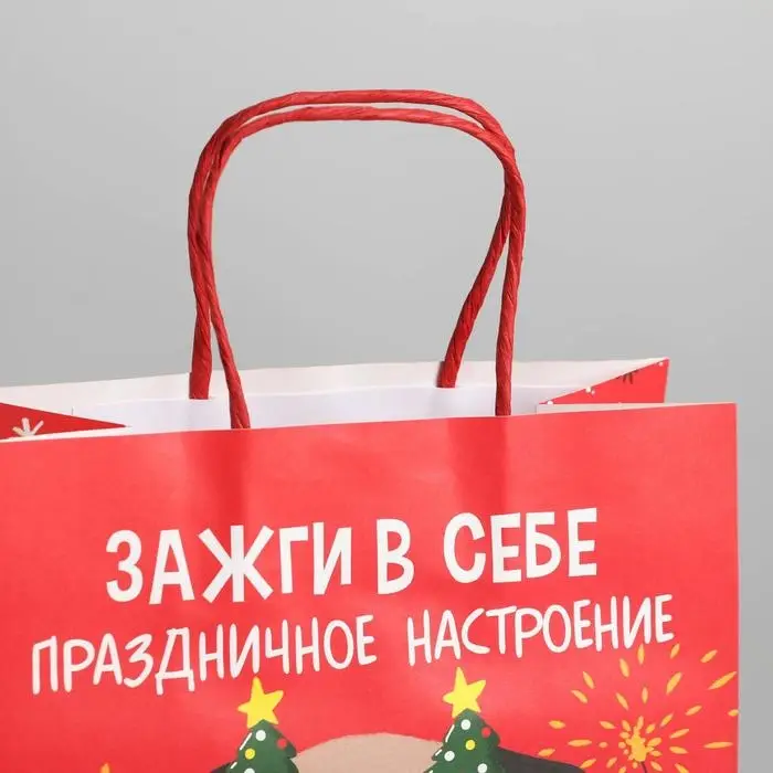 Пакет подарочный новогодний «Зажги в себе», 22 х 22 х 11 см Пакет подарочный новогодний «Зажги в себе», 22 х 22 х 11 см