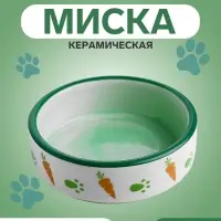 Миска керамическая с морковками 100 мл 8.8&times;8.8&times;3 см, зелёно-белая