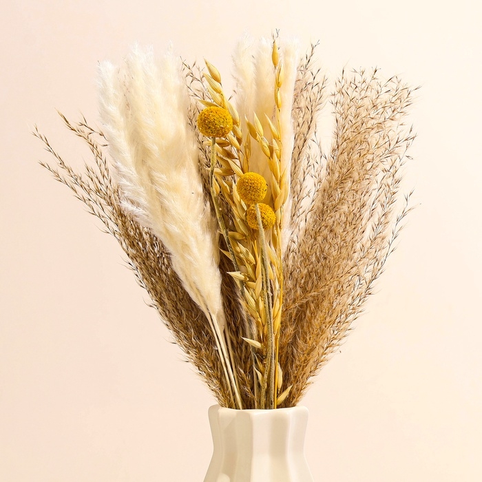 Сухоцветы «Сказка», набор из 4 видов, 48 × 16 × 6 см