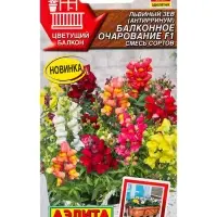 Семена цветов Львиный зев Балконное очарование F1, смесь сортов Цветущий балкон, Ц/П,7 шт. Семена цветов Львиный зев Балконное очарование F1, смесь сортов Цветущий балкон, Ц/П,7 шт.