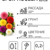 Семена цветов Георгина &laquo;Яркие помпоны&raquo;, 0.2 г, &laquo;Гавриш&raquo;