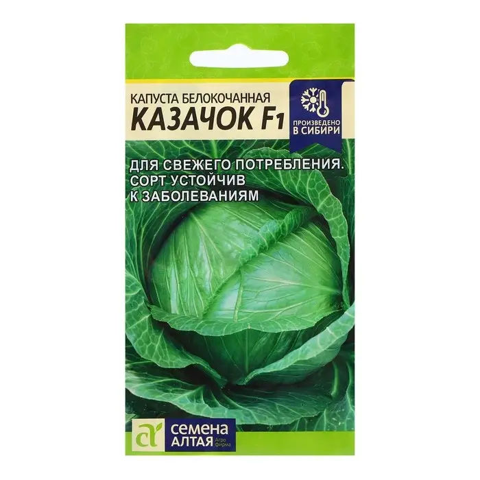 Семена Капуста Семена Капуста "Казачок", F1 0,1 гр.