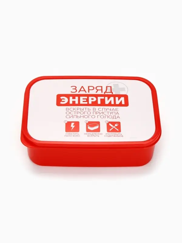 Ланч - бокс &laquo;Заряд энергии&raquo;, 1200 мл